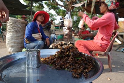 Siem Reap Gezi Rehberi