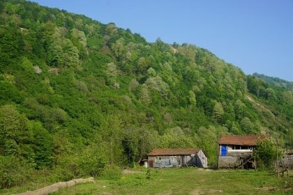 Düzce'de Gezilecek Yerler ve Düzce'de Ne Yenir